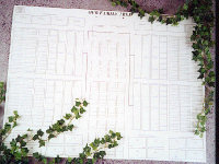 Family tree wallchart